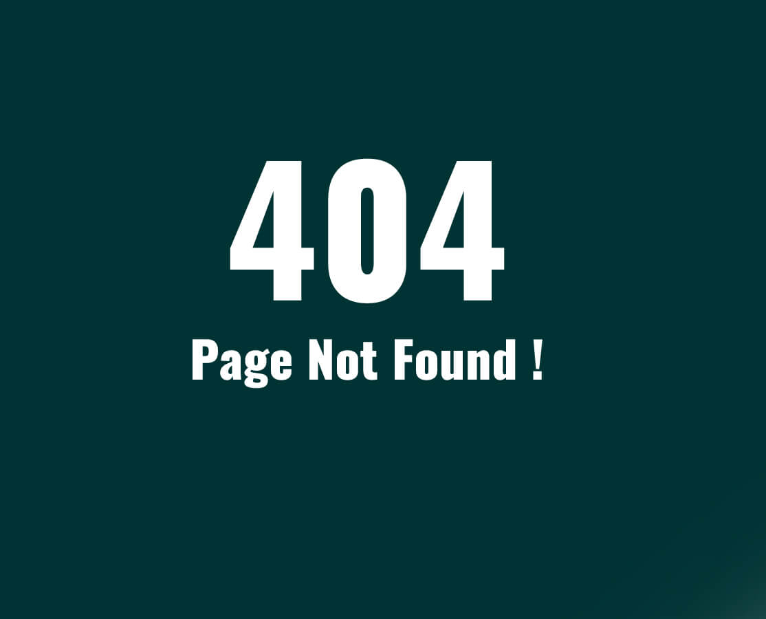  404 Page